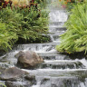 Meet your Posher, Dee